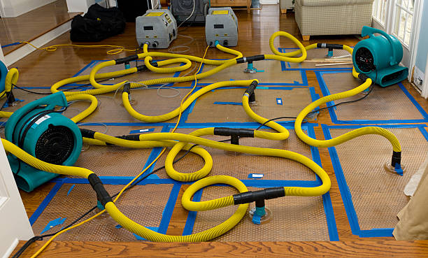 Professional Crawl Space Water Removal technician working in Leming, TX